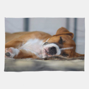 Süßer Hund als Haustier Geschirrtuch