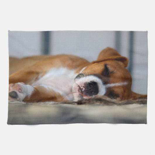 Süßer Hund als Haustier Geschirrtuch (Horizontal)