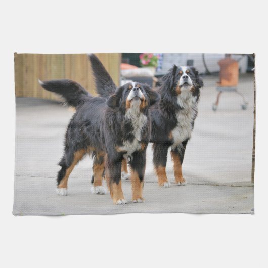 Süßer Hund als Haustier Geschirrtuch (Horizontal)