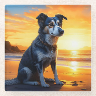Süßer Hund am Strand bei Sonnenuntergang Glasuntersetzer