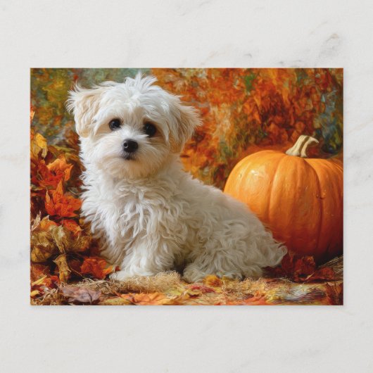 Süßer Hund Herbst Kürbis Herbstlaub Design Postkarte (Vorderseite)
