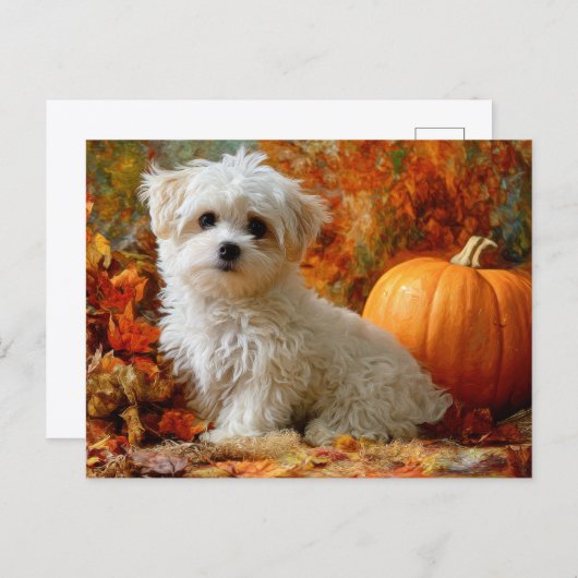 Süßer Hund Herbst Kürbis Herbstlaub Design Postkarte (Vorne/Hinten)