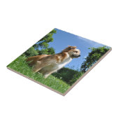 Süßer Hund im Gras Fliese (Seite)