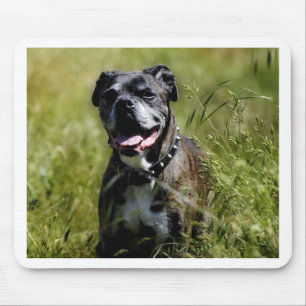 Süßer Hund im Gras Mousepad