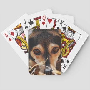 Süßer Hund im Heu Spielkarten