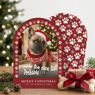 Süßer Hund Lustiges Haustier Foto Weihnachten