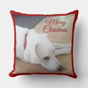 Süßer Hund mit rotem Halsband Weihnachten Kissen