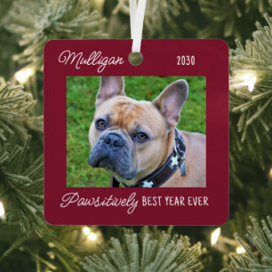 Süßer Hund Quarantäne Weihnachten Rot Haustier Fot Ornament Aus Metall