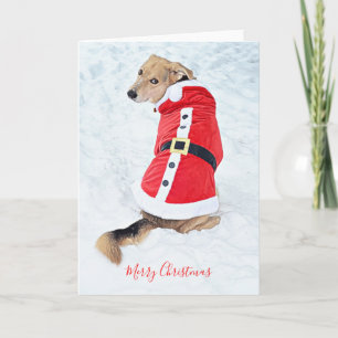 Süßer Hund Weihnachten Schnee Roter Santa-Anzug Karte