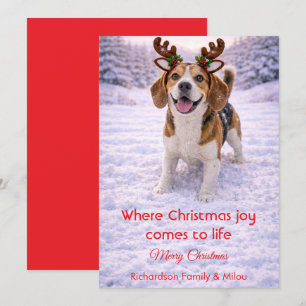 Süßer Hund Weihnachten Süße Zitate   Weihnachtskar