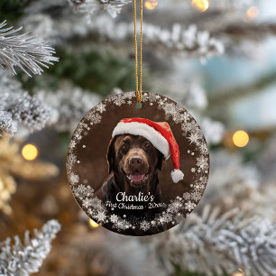 Süßer Hund Welpe Haustier erstes Weihnachtsfoto Sc Keramik Ornament