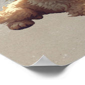 Süßer Hundedruck, Wertposter-Papier (Halbglanz) Poster (Ecke)