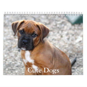 Süßer Hundekalender Kalender