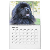Süßer Hundekalender Kalender (Mär 2027)