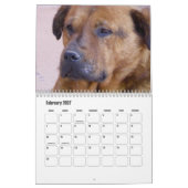 Süßer Hundekalender Kalender (Feb 2027)