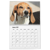 Süßer Hundekalender Kalender (Jan 2027)