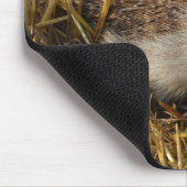 Süßer Igel auf Stubelfeldern Mousepad (Ecke)