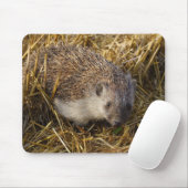 Süßer Igel auf Stubelfeldern Mousepad (Mit Mouse)