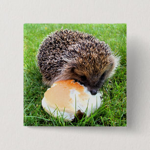 SÜßER IGEL BUTTON
