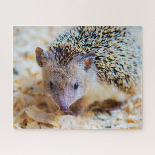 Süßer Igel, Puzzle (Horizontal)
