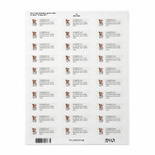 Süßer Jack Russel Terrier (Vorne)