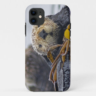 Süßer kalifornischer Seeotter (Enhydra lutris) Case-Mate iPhone Hülle
