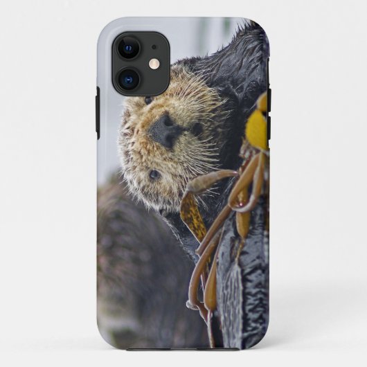 Süßer kalifornischer Seeotter (Enhydra lutris) Case-Mate iPhone Hülle (Rückseite)
