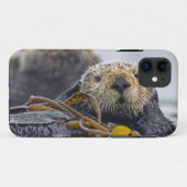 Süßer kalifornischer Seeotter (Enhydra lutris) Case-Mate iPhone Hülle (Rückseite (Horizontal))