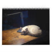 Süßer Kätzchen-Kalender für 2026 Kalender (Titelbild)