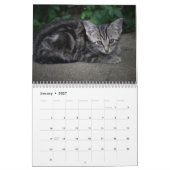 Süßer Kätzchen-Kalender für 2026 Kalender (Jan 2027)