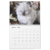 Süßer Kätzchen-Kalender für 2026 Kalender (Feb 2027)