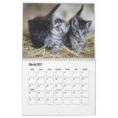 Süßer Kätzchen-Kalender Kalender (Mär 2027)
