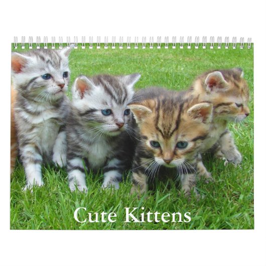 Süßer Kätzchen-Kalender Kalender (Titelbild)
