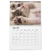 Süßer Kätzchen-Kalender Kalender (Feb 2027)