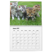Süßer Kätzchen-Kalender Kalender (Jan 2027)