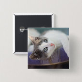 Süßer Kitty im karierten Bett Button (Vorne & Hinten)