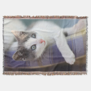 Süßer Kitty im karierten Bett Decke