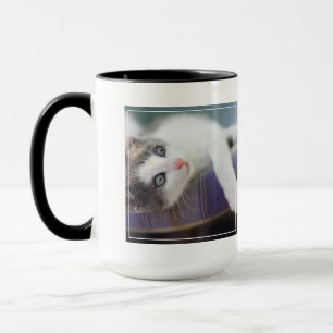 Süßer Kitty im karierten Bett Tasse