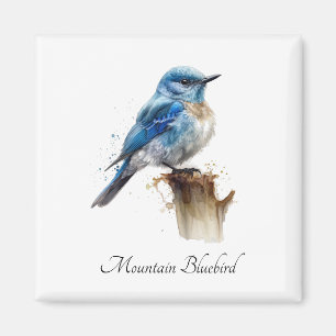 Süßer kleiner Bergblau-Vogel Wasserfarben, individ Magnet