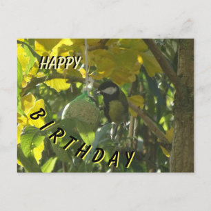 Süßer kleiner essender Vogel Frohe Geburtstag Post Postkarte