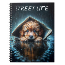 Süßer kleiner Hund an einem Regentag mit blauen Au