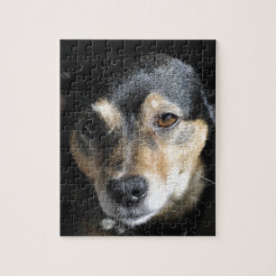 Süßer kleiner Hund posiert für die Kamera Puzzle