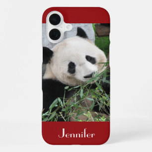 Süßer, knuddeliger Riesenpanda, dunkelrot, Name iPhone 16 Plus Hülle