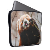 SÜßER KOALA-BÄR LAPTOPSCHUTZHÜLLE (Vorne Rechts)
