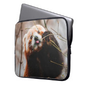 SÜßER KOALA-BÄR LAPTOPSCHUTZHÜLLE (Vorderseite Links)