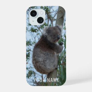 Süßer Koala beim Klettern in einem Baum Australien iPhone 15 Hülle