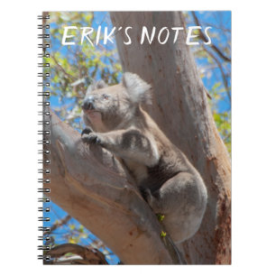 Süßer Koala klettert auf einen Baum, Personalisier Notizblock