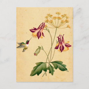 Süßer Kolibri Vintage Botanischer Garten Postkarte