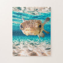 Süßer Kugelfisch Ozean Tier Kunst