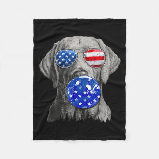 Süßer Labrador trägt USA-Flaggen-Sonnenbrille 4. J Fleecedecke